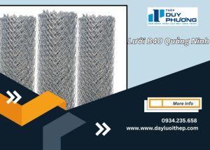 Lưới B40 Quảng Ninh