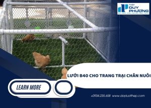 Lưới B40 cho trang trại chăn nuôi